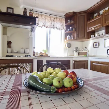 Basic Apartman